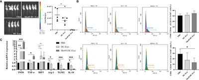 Corrigendum: Anti-Tumoral Effect and Action Mechanism of Exosomes Derived From Toxoplasma gondii-Infected Dendritic Cells in Mice Colorectal Cancer